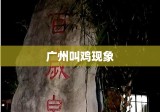 广州叫鸡，历史、文化与现代现象的探究