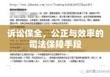 诉讼保全，公正与效率的司法保障手段