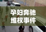 孕妇奔驰维权事件，正义与责任的较量之战