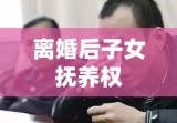 离婚后子女抚养权，孩子未来的深度探讨与探讨之道