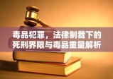 毒品犯罪，法律制裁下的死刑界限与毒品重量解析