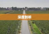 河北定州交通事故深度剖析