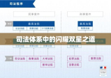 刑事双星模式，探究司法体系中的闪耀双星之道