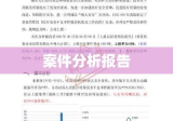 案件分析报告，细节解析与结论总结