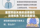 重塑劳动关系的法律基石，法律视角下的深度解读