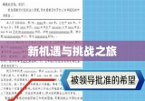 工作调动申请，寻求新机遇与挑战之旅