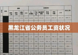 黑龙江省公务员工资状况深度解析