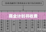 商业计划书收费的深度解析