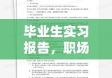 毕业生实习报告，职场初探与成长之路的足迹