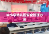 中小学幼儿园安全管理办法深度探析