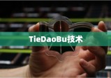 TieDaoBu技术的潜力与挑战探索