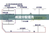 利润分配借方的深度解读与解析