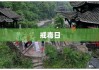 戒毒日，重塑生活的希望之光之旅