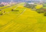 农村集体土地产权属于哪个部门颁发