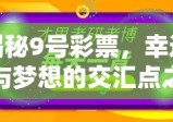 揭秘9号彩票，幸运与梦想的交汇点之夜