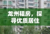 龙州租房，探寻优质居住之选