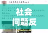 滴滴司机杀人事件，深度剖析与反思背后的社会问题