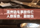 温州动车事故伤亡人数报告，最新伤亡统计及事故概述