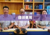 律师费用，正义的成本与合理投入探讨