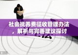 社会抚养费征收管理办法，解析与完善建议探讨