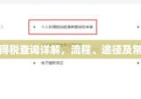 上海个人所得税查询详解，流程、途径及常见问题解答