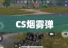 CS烟雾弹，战术利器与战略深度探讨解析