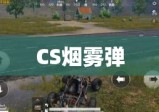 CS烟雾弹，战术利器与战略深度探讨解析