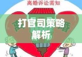 法律诉讼流程与策略解析，如何有效打官司