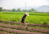 私自变更土地用途是什么罪