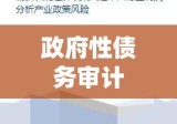 全国政府性债务审计结果深度剖析与解读