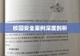 校园安全案例深度剖析，守护学子安全的责任与策略