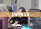 彭州市社保局，服务群众，构建和谐社会保障网络