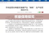 美国法律下的网站运营与权益保障探究