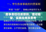 民事责任归责原则，理论框架、实践应用及思考