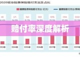 赔付率深度解析，含义、影响因素及其在保险业务中的核心地位