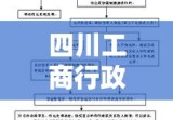 四川工商行政管理，现代化管理模式的探索与实践之路