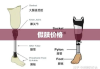 假肢价格及其影响因素解析