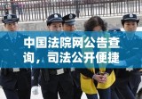 中国法院网公告查询，司法公开便捷新窗口