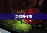 高速公路匝道详解，意义、功能与作用解析