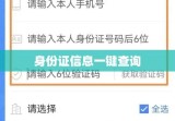 身份证信息一键查询，便捷与安全的挑战