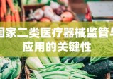 国家二类医疗器械监管与应用的关键性