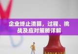 企业终止清算，过程、挑战及应对策略详解