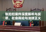 张扣扣案件深度解析与反思，社会舆论与法律正义的交汇点