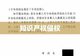 XX公司侵犯知识产权的起诉意见书提交及应对建议