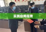 合同法解释二，深度解读、实践应用指南