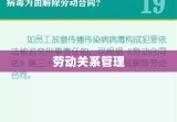 劳动关系管理内容解析，构建和谐劳动关系的核心要素探究