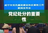 党纪处分的重要性及其实践应用与探索