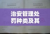 治安管理处罚种类及其应用解析