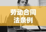 劳动合同法条例，保障劳动者权益，构建和谐劳资关系，助推社会和谐发展