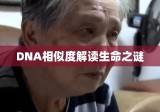 基因奥秘揭秘，探究DNA相似度解读生命之谜